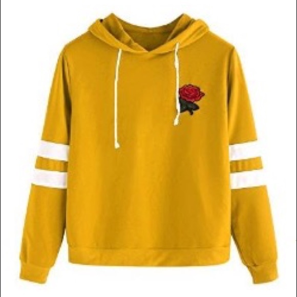 ISO - Picture 3 of 8